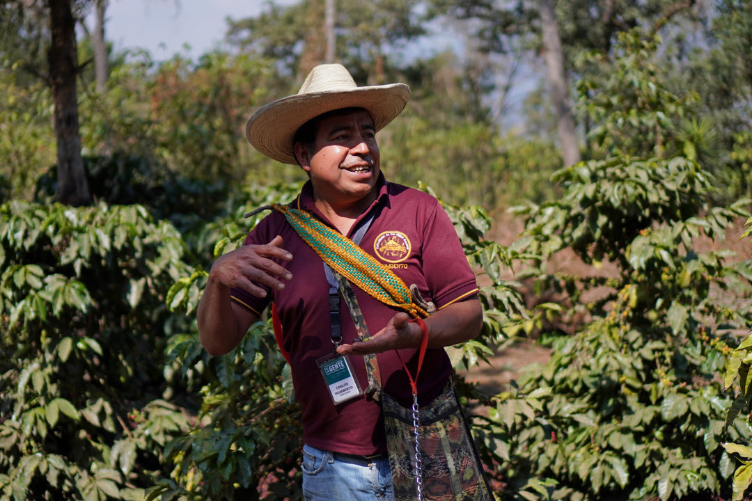Coffee That Gives Back: Celebrating International Day of Charity with Nossa Familia
