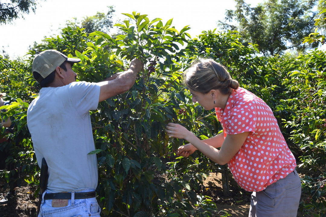 Coffee farm visit during Nossa Familia&