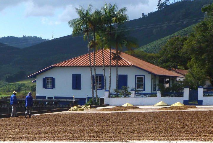 Coffee from our family farm, Fazenda Recreio in the highlands of Brazil.