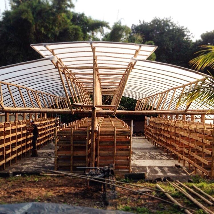 Finca San Jerónimo Miramar coffee farm, Guatemala – Nossa Familia Coffee