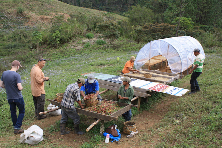 Finca San Jose de las Nubes coffee farm, Nicaragua – Nossa Familia Coffee