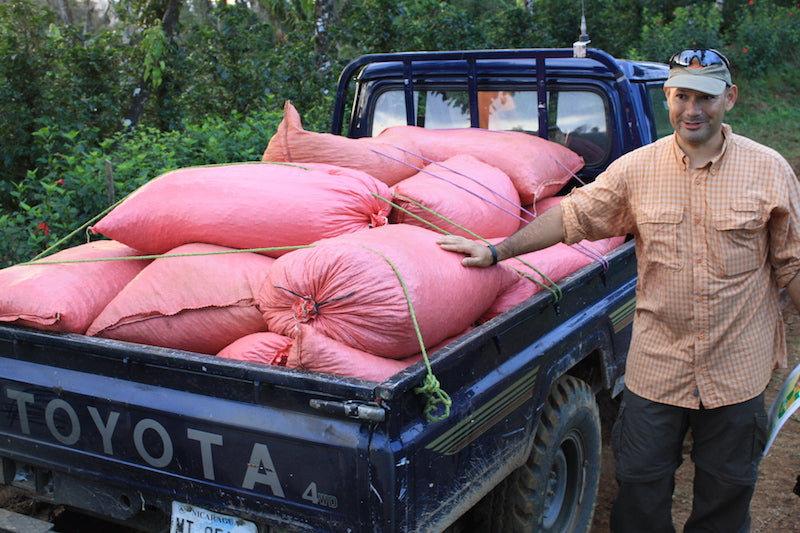 Farmer with coffee cherries at Finca San Jose de las Nubes, Nicaragua – Nossa Familia Coffee