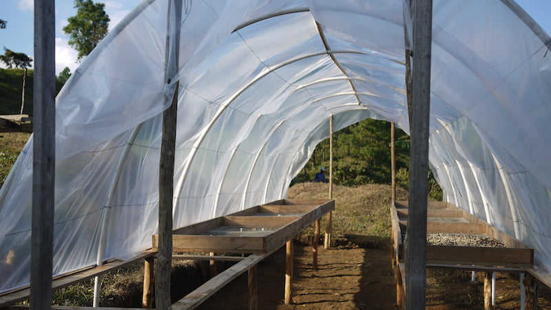 Finca San Jose de las Nubes coffee origin, Nicaragua – Nossa Familia Coffee