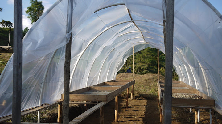 Finca San Jose de las Nubes coffee origin, Nicaragua – Nossa Familia Coffee