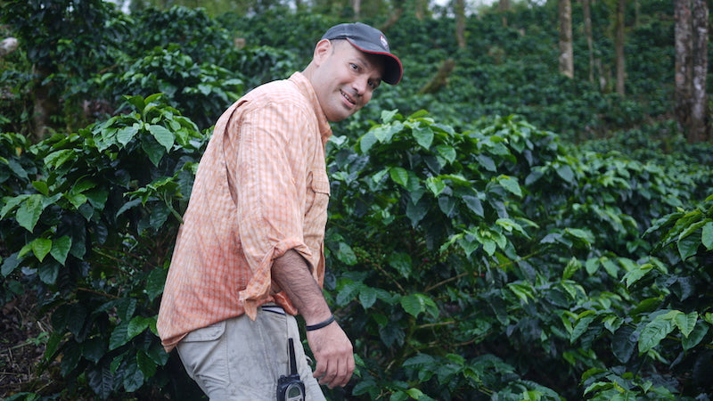 Coffee farm scene at Finca San Jose de las Nubes, Nicaragua – Nossa Familia Coffee