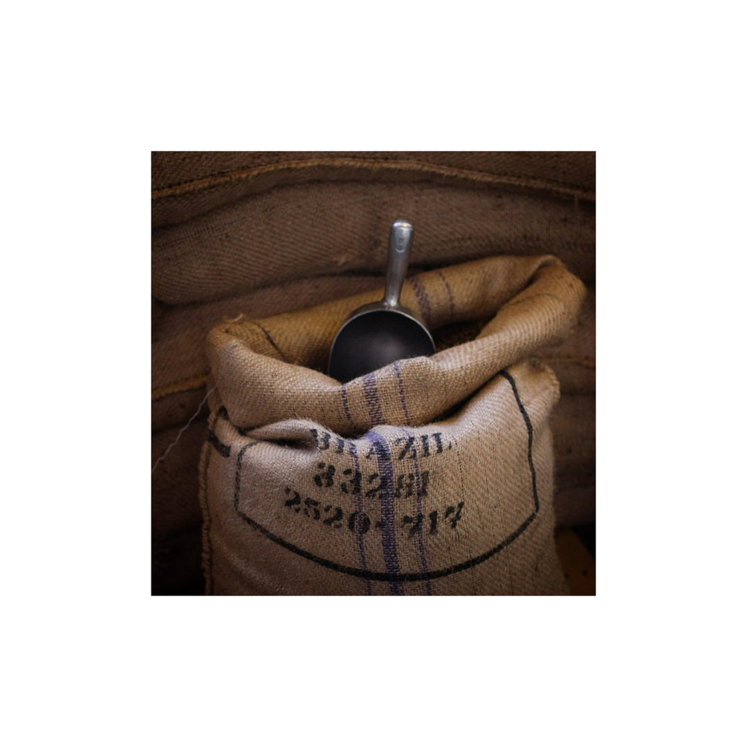 Green (unroasted) coffee beans – Nossa Familia Coffee
