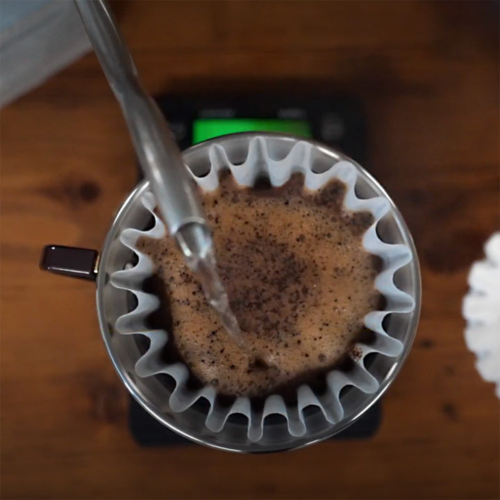 Coffee blooming in a Kalita Wave 185 dripper – Nossa Familia Coffee
